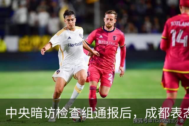 中央暗访检查组通报后，成都表态：已立案调查，拟顶格处罚