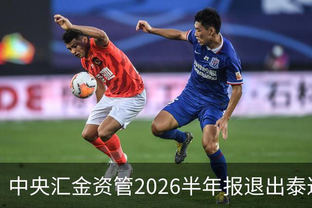 中央汇金资管2026半年报退出泰达股份前十大股东名单