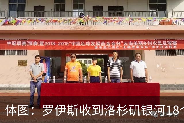 体图：罗伊斯收到洛杉矶银河18个月续约报价