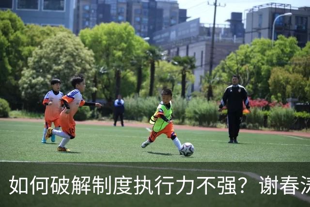 如何破解制度执行力不强？谢春涛：坚决纠正有令不行、有禁不止