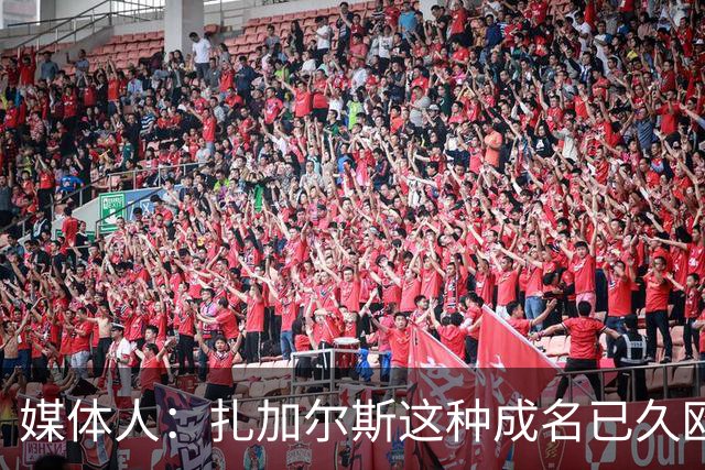 媒体人：扎加尔斯这种成名已久欧洲小外很高级 但打法在CBA略尴尬