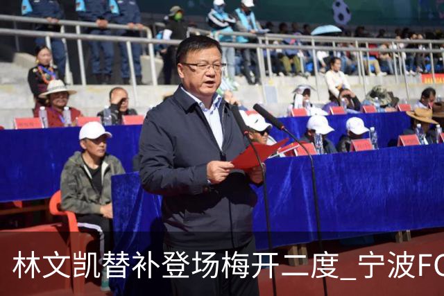 林文凯替补登场梅开二度 宁波FC客场2:3不敌石家庄功夫
