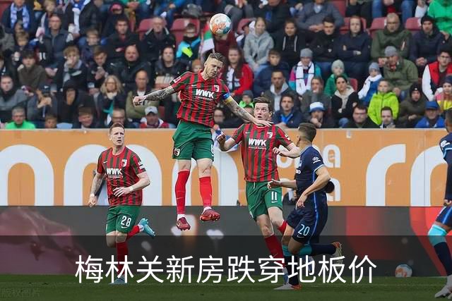 梅林关新房跌穿地板价