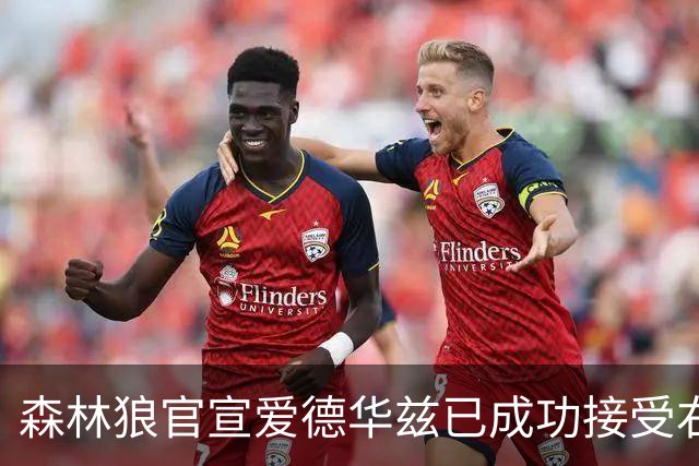 森林狼官宣爱德华兹已成功接受右膝关节镜手术