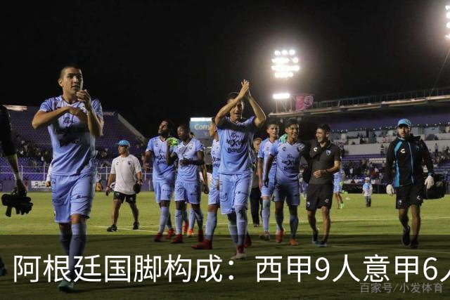 阿根廷国脚构成：西甲9人意甲6人 阿本土仅1人