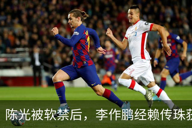 陈光被软禁后，李作鹏经赖传珠获两大疑点，罗帅劝你别插手！