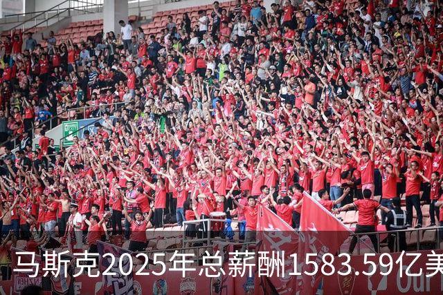 马斯克2025年总薪酬1583.59亿美元 全部以股票奖励形式发放